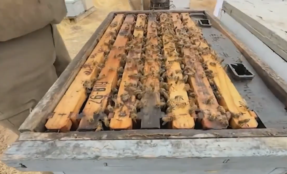 Screenshot 2024-05-05 102241