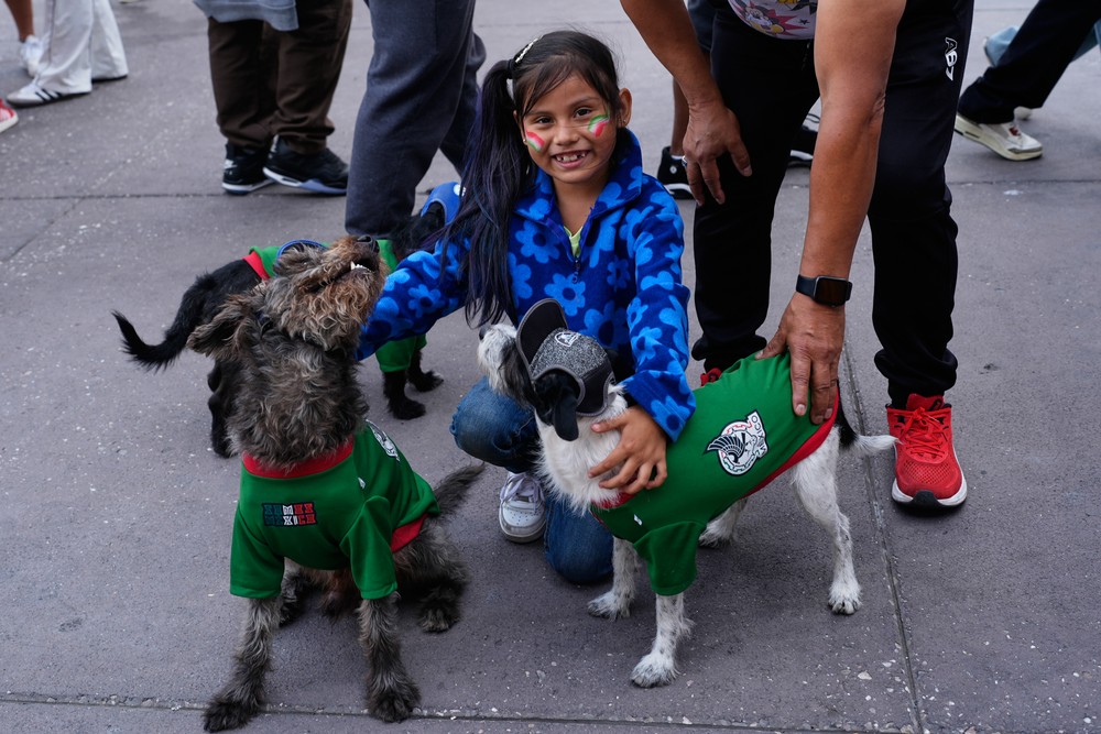 Mexico_WCup_Soccer431183