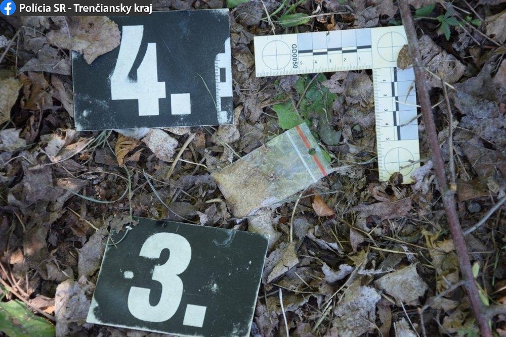 299786556_1668017226910140_8871000763610709895_n