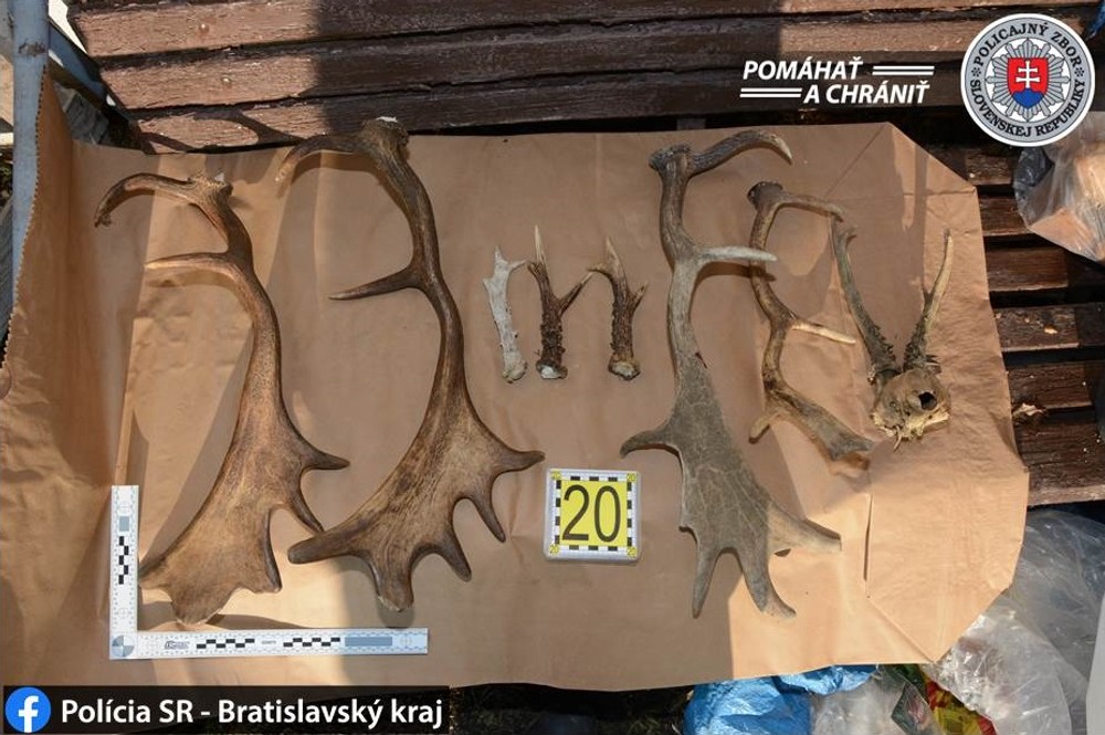 Najväčšia policajná akcia zameraná na pytliakov