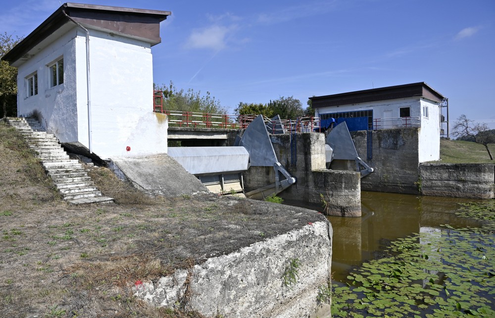 Besa_suchy_polder_004071916