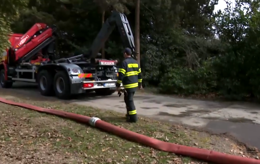 Screenshot 2023-03-13 164634