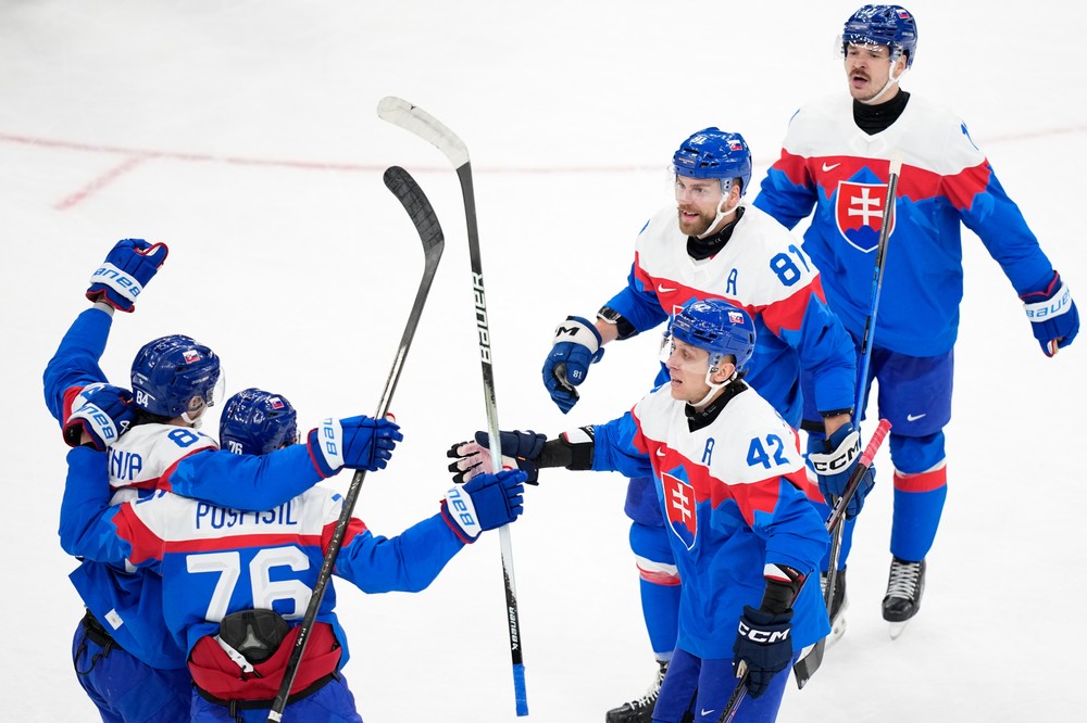 Zápas Slovensko - Nemecko