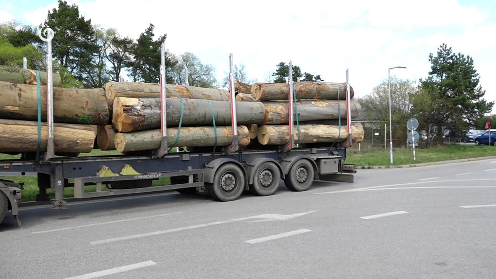 [multi] 042426YMJ 40