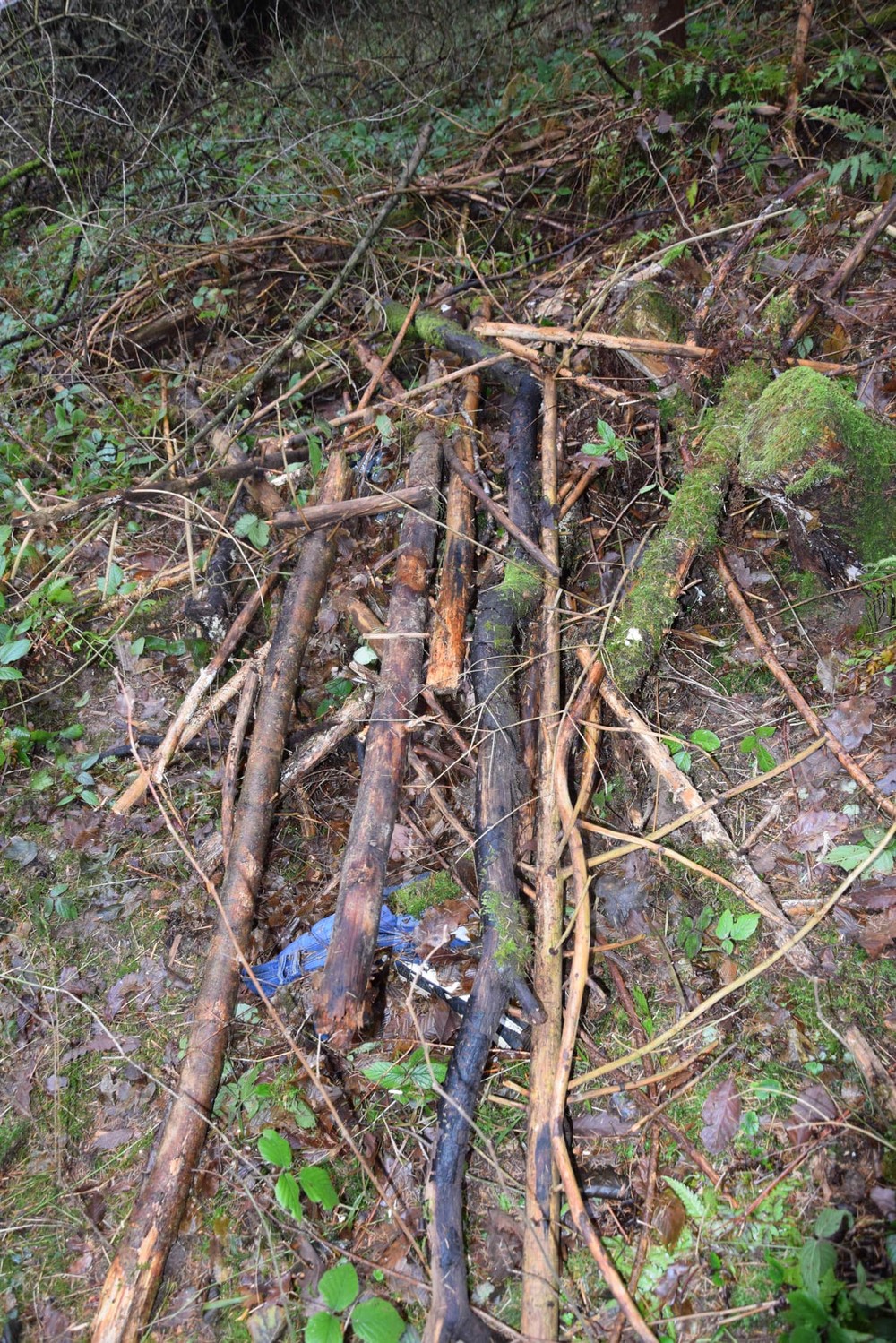 Otrasný nález v lesoch nad Zvolenom: Vyšetrovateľ vzniesol obvinenie pre zločin vraždy