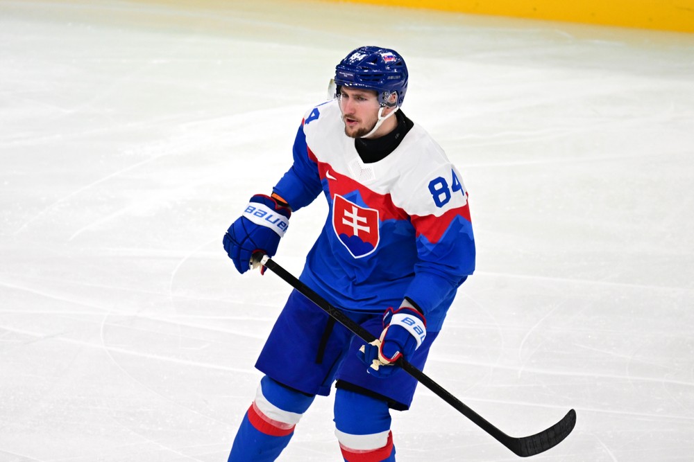 20261802_zoh_slovensko_nemecko_29194988