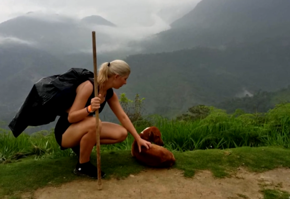 Screenshot 2024-07-11 195408