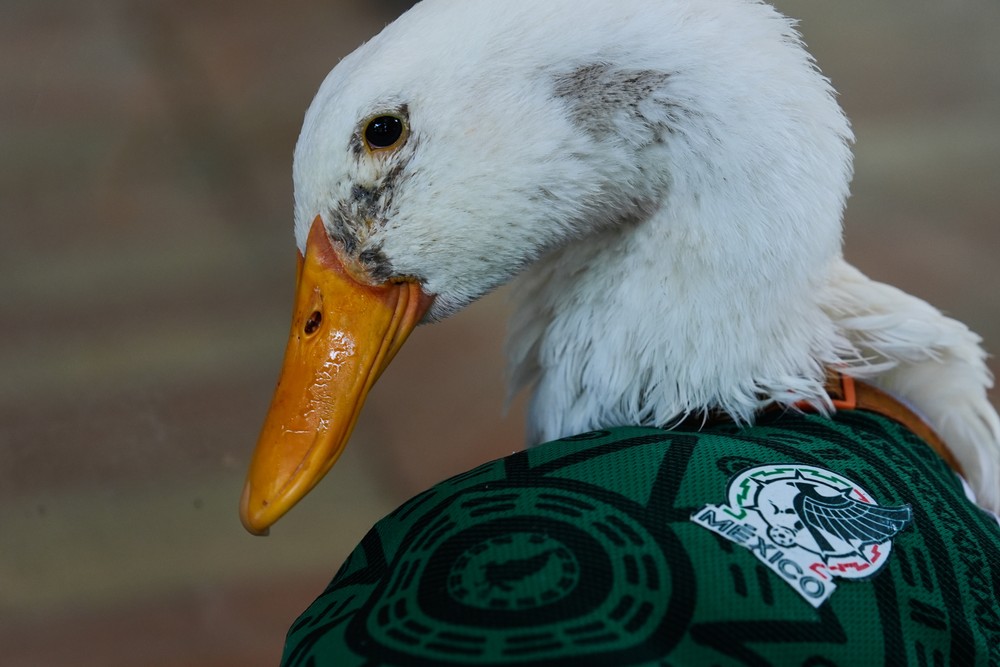 Mexico_WCup_Mascot427658