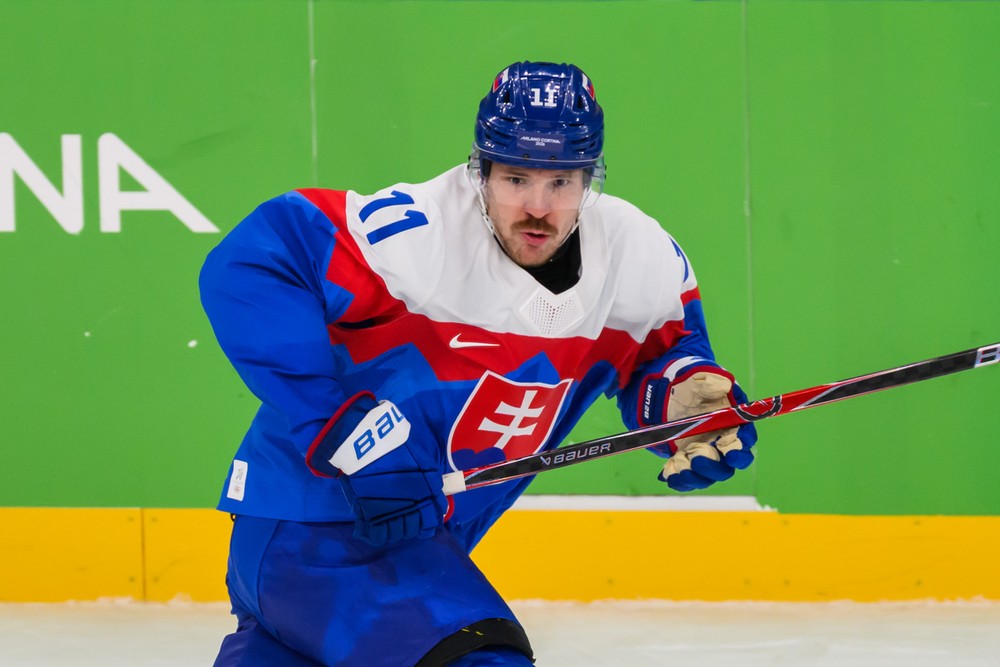 20261802_zoh_slovensko_nemecko_110194991