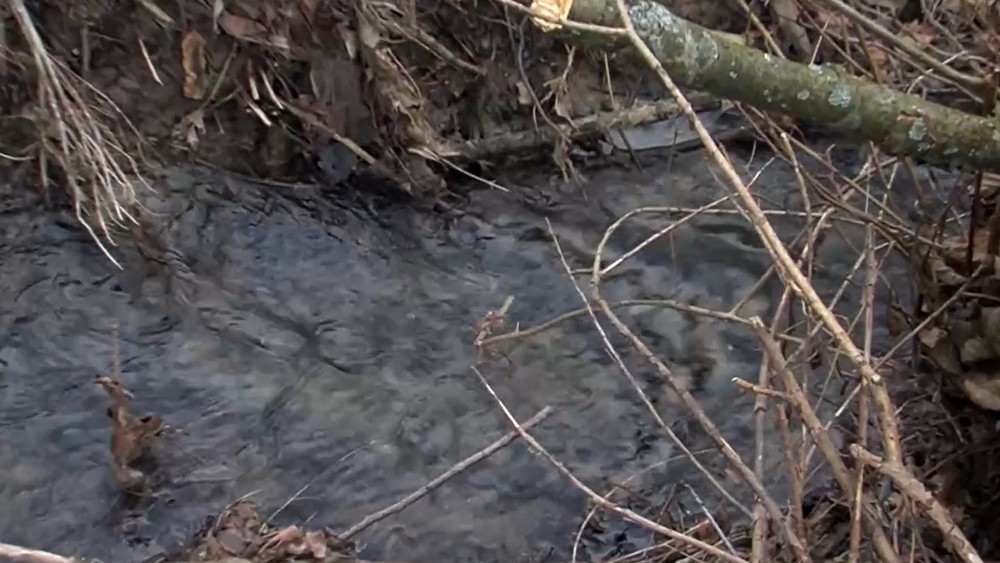 Deti videla okoloidúca žena