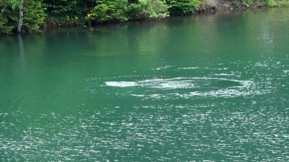 [multi] Utopený tínedžer 6965