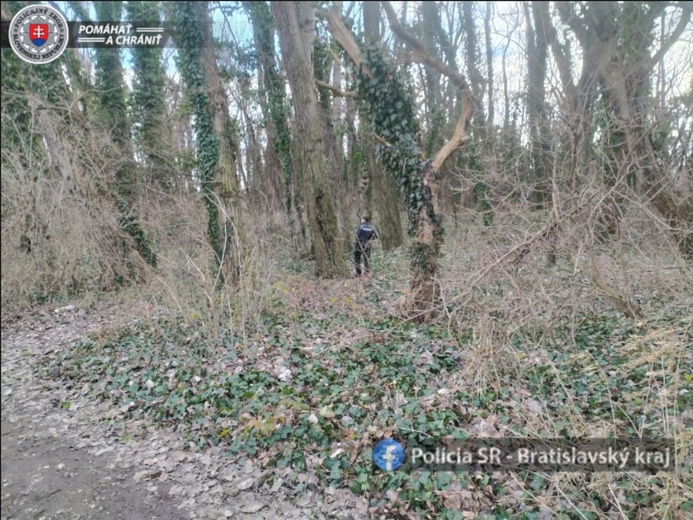 Pátranie po Terézii