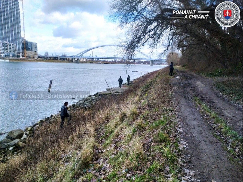 Pátranie po Terézii