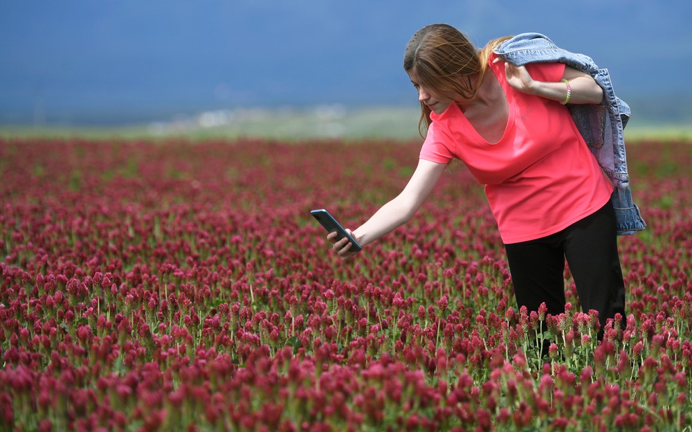 pole06_25_5_2024045911