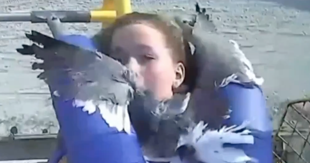 Tínedžerke do tváre vletela čajka