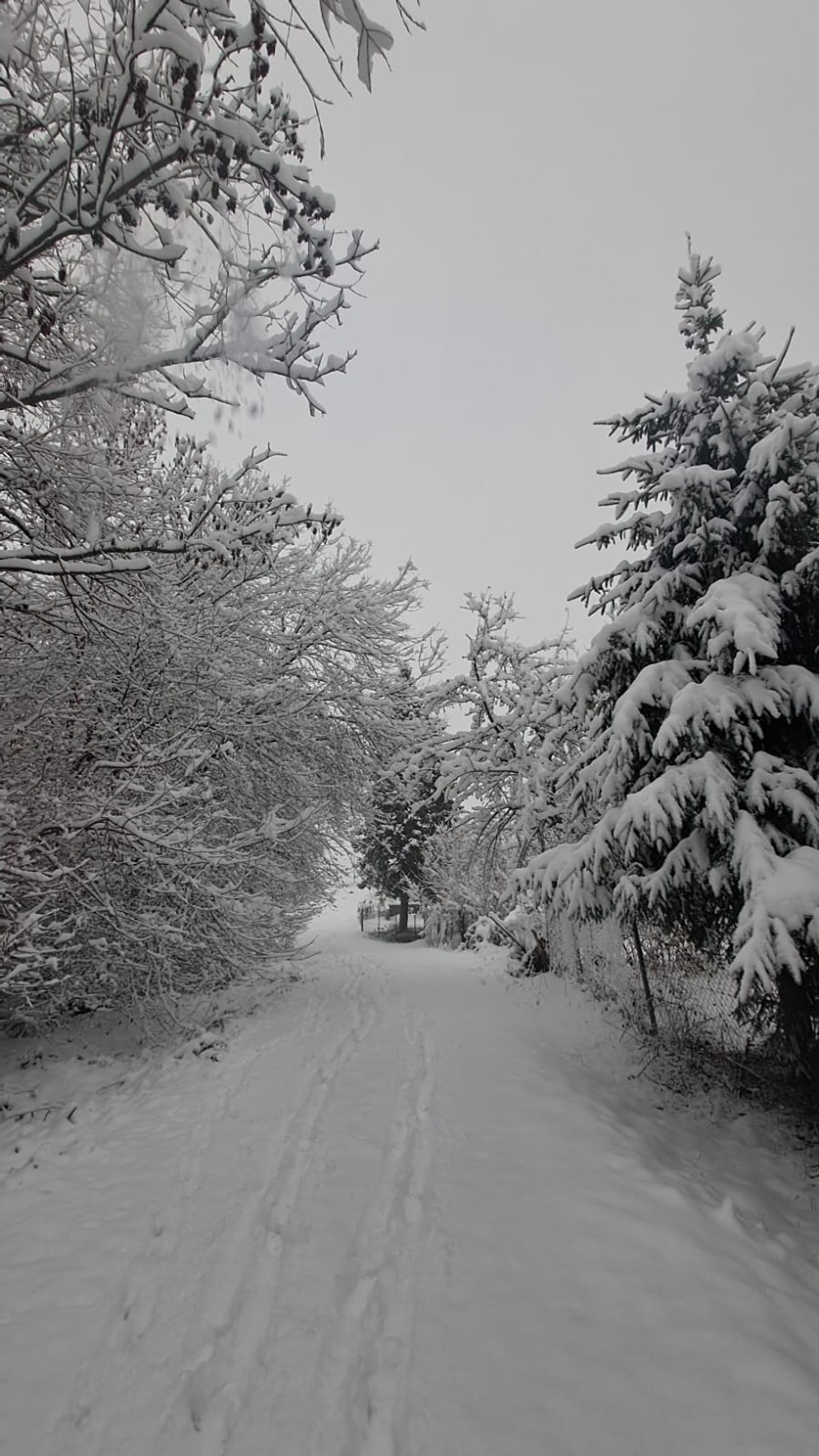 WhatsApp Image 2025-11-21 at 09.48.55 (2)