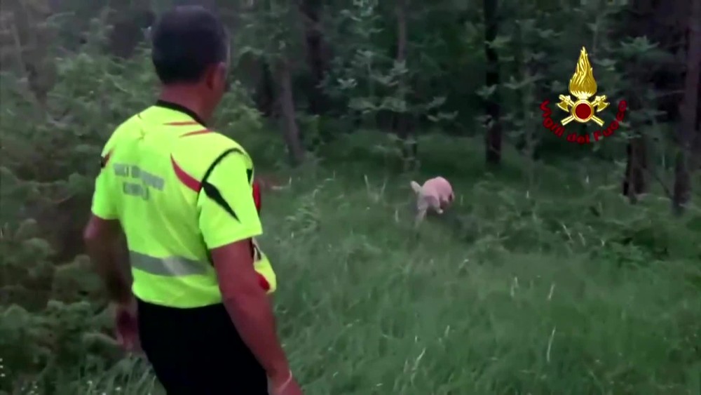 [multi] Záchranná akcia novinár 7177