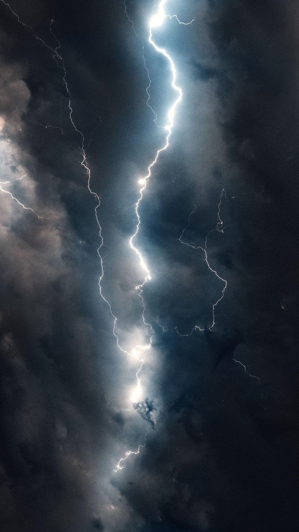 pexels-nikolai-vorobiev-164030-30618961