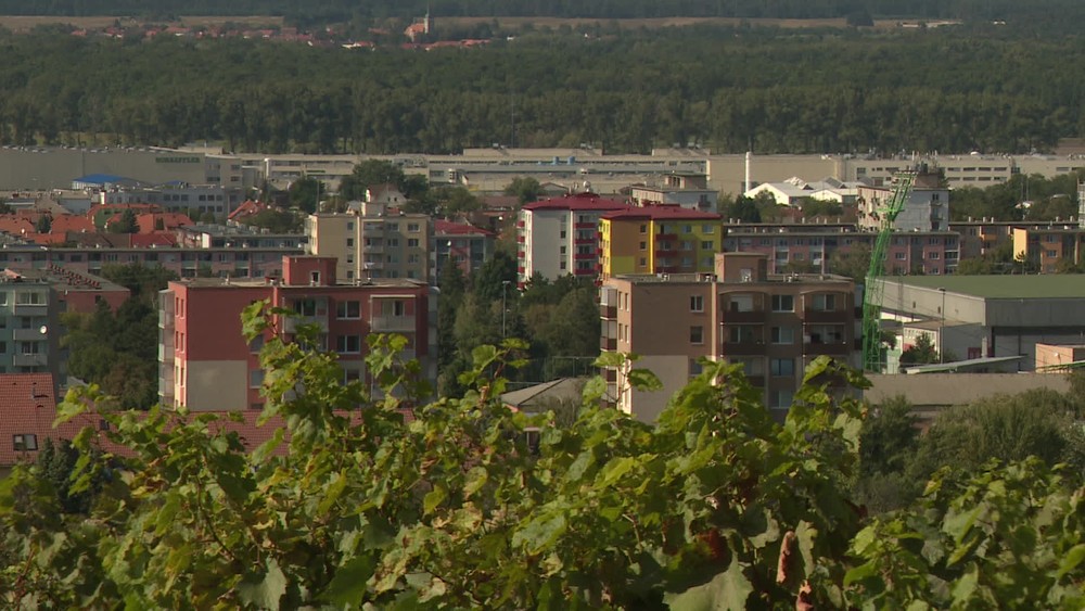 [multi] 061924PCV 1319