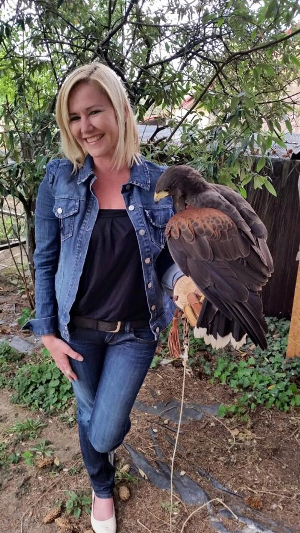 Haasova sokoliarstvo