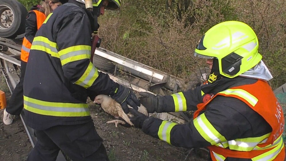 Prevrátený kamión zablokoval cestu medzi obcami Závadka a Topoľovka