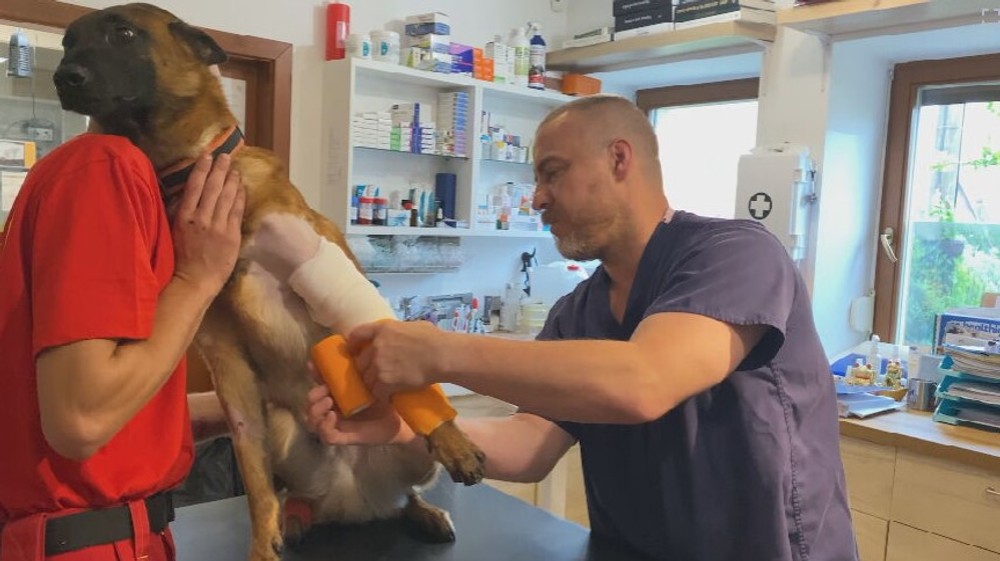 Záchranársky pes Quido potrebuje pomoc (2)