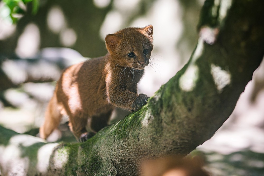 539593764_1185481356946354_610784215615579576_n