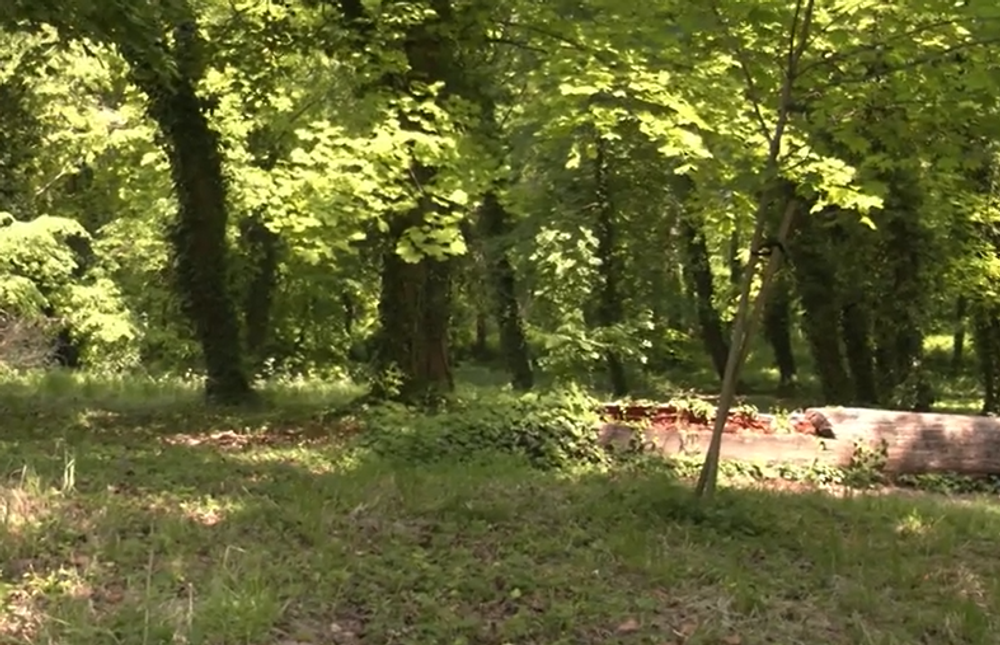 Šikana dievčaťa v Mojmírovciach