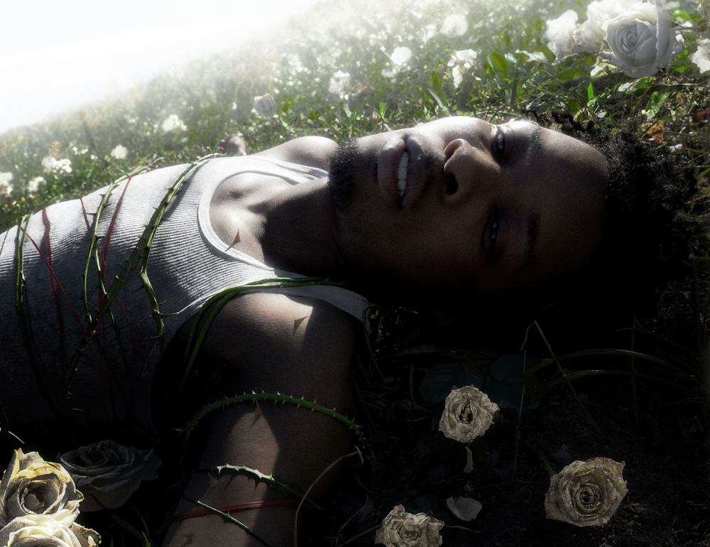 David Anthony Burke aka D4VD