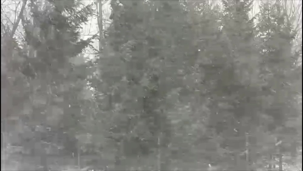 [multi] vietor 17.1. 14166