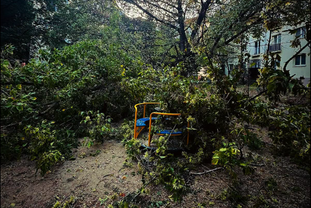 Strom padol na deti na ihrisku 