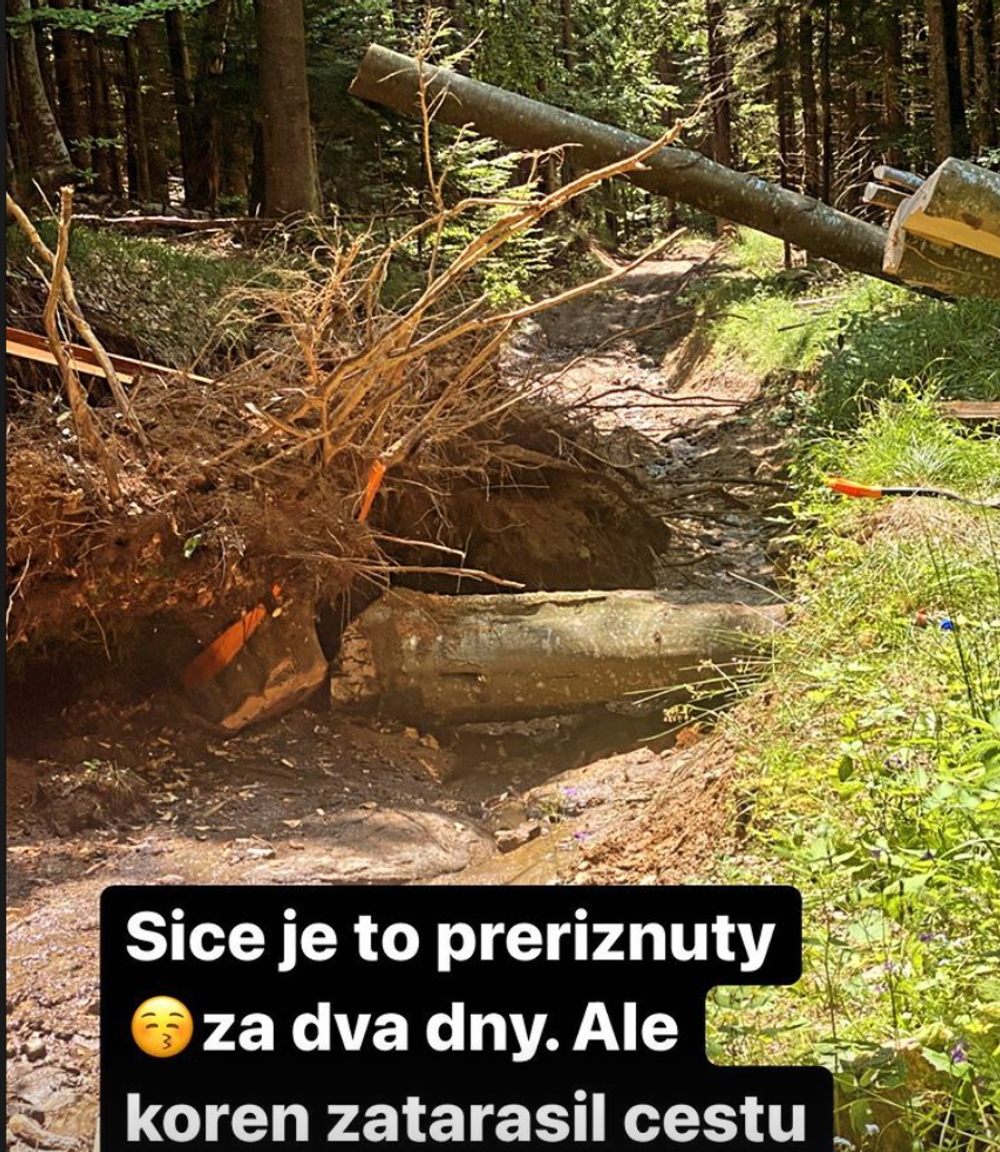 Dovolenka Pizingerovcov