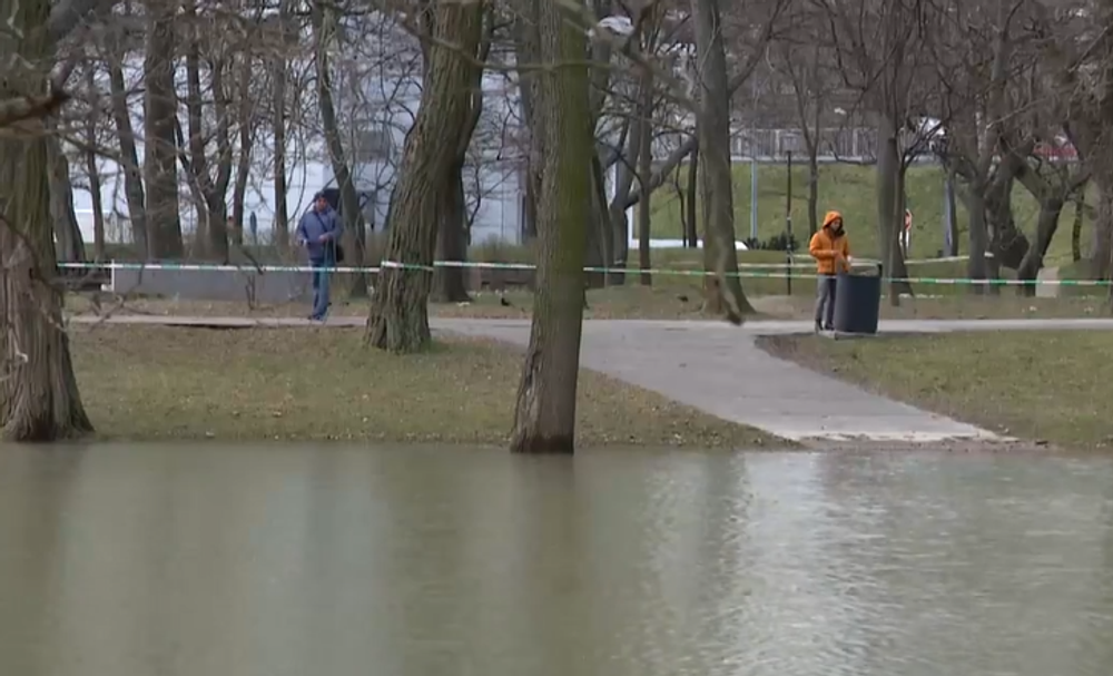 Screenshot 2023-03-13 164333