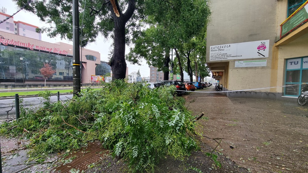 WhatsApp Image 2024-09-13 at 14.13.22