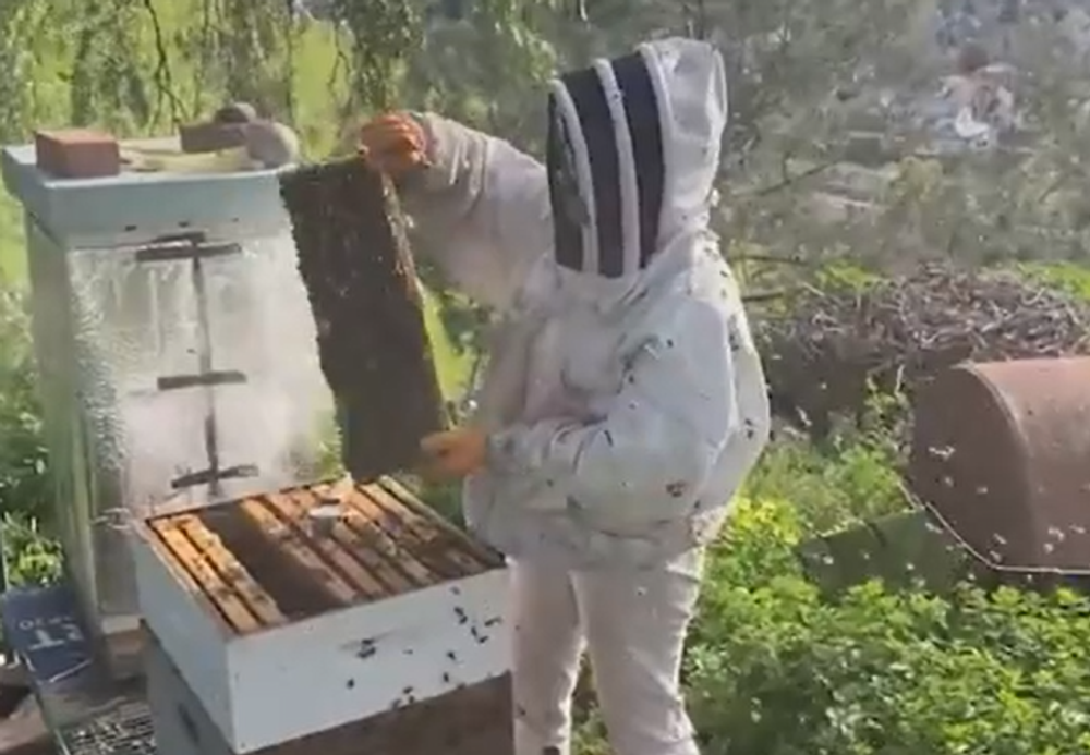 Screenshot 2024-05-05 102118