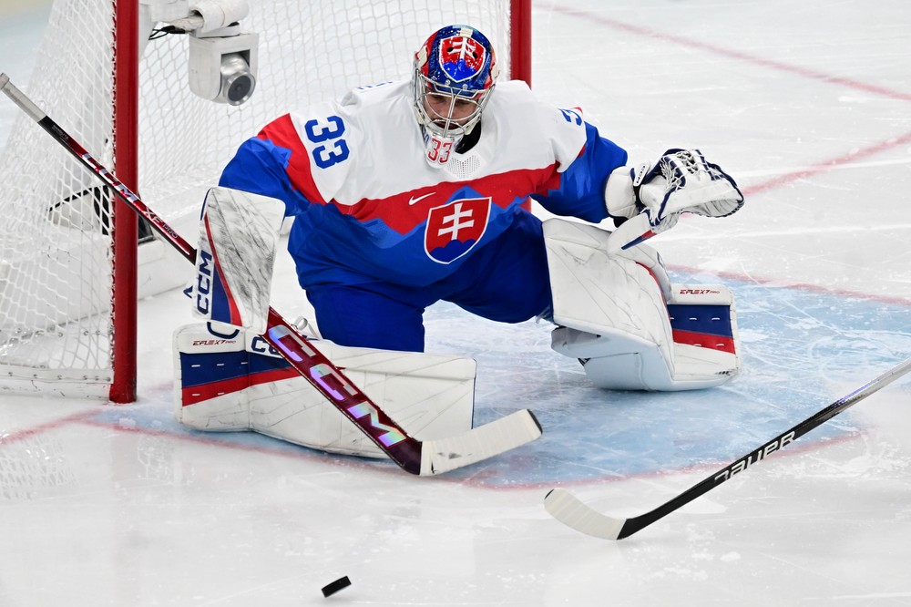 Zápas Slovensko - USA