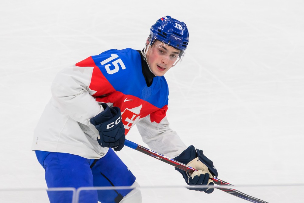 20261402_zoh_slovensko_svedsko_08193768