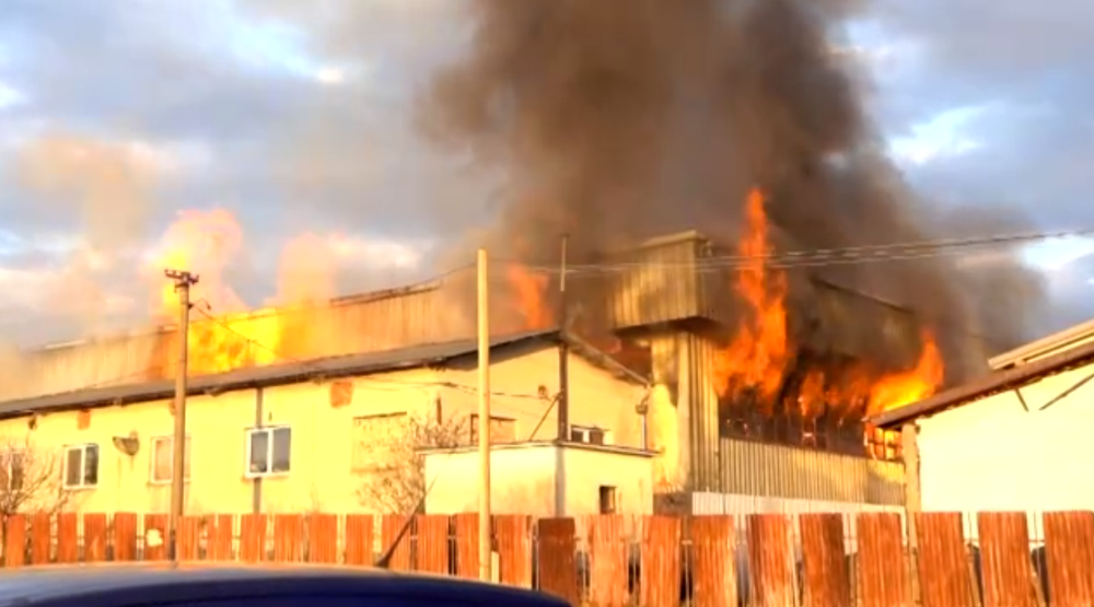 Halu na výrobu peliet zachvátili plamene