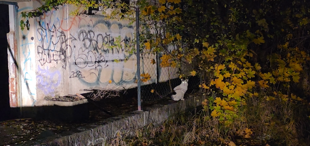 Snímka obrazovky 2025-10-25 184501