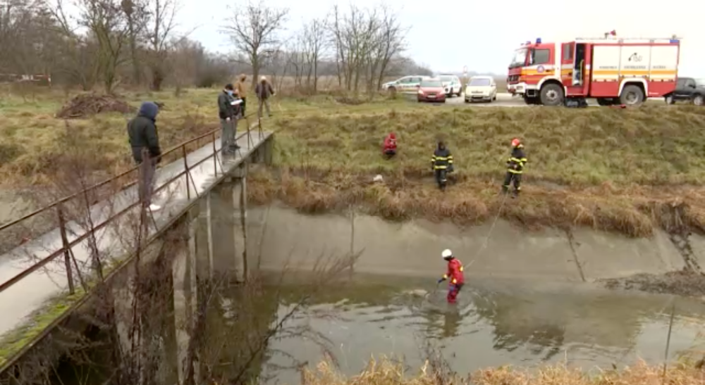 V Malinove našli utopené zvieratá