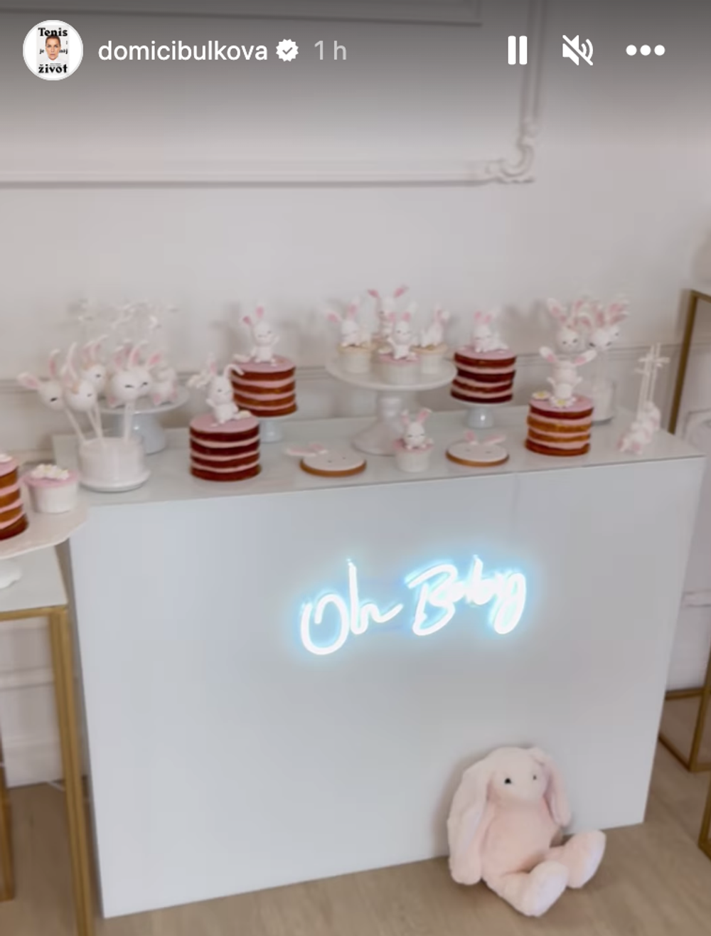 Snímka obrazovky 2023-02-05 o 15.30.42