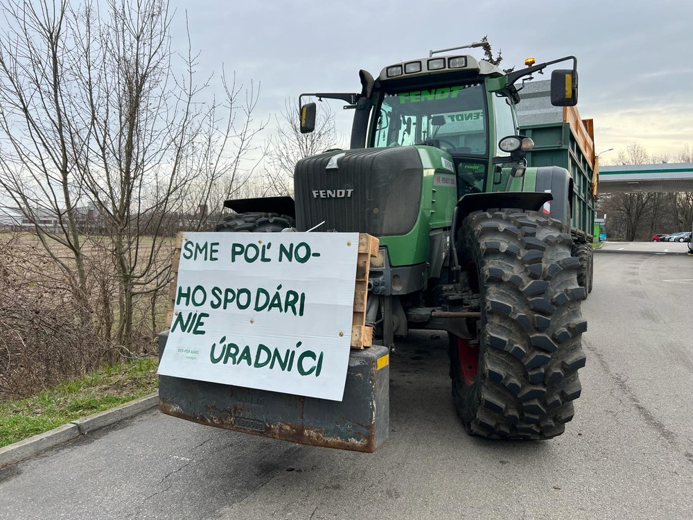 WhatsApp Image 2024-02-22 at 10.06.53