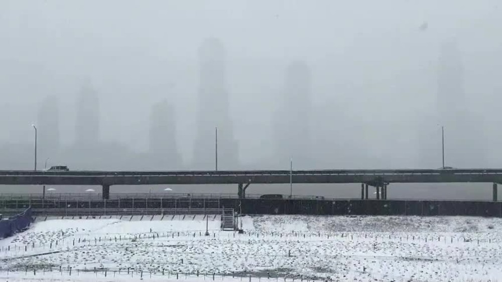 [multi] new york sneh 22048