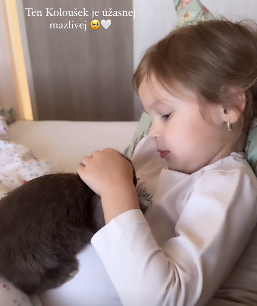 Snímka obrazovky 2024-05-29 o 12.55.26