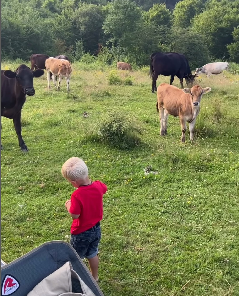 Snímka obrazovky 2023-07-23 o 13.23.31