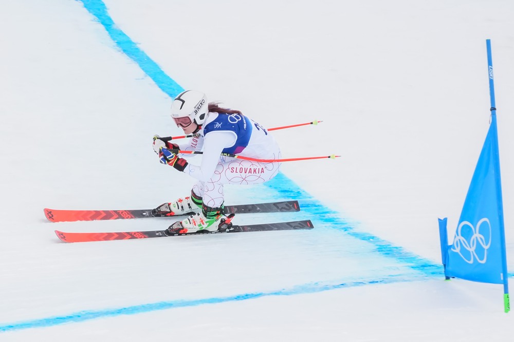 20262002_zoh_fricova_01195694