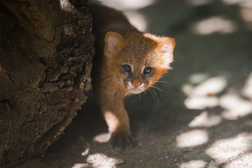 538226812_1185481360279687_7239969423587514366_n