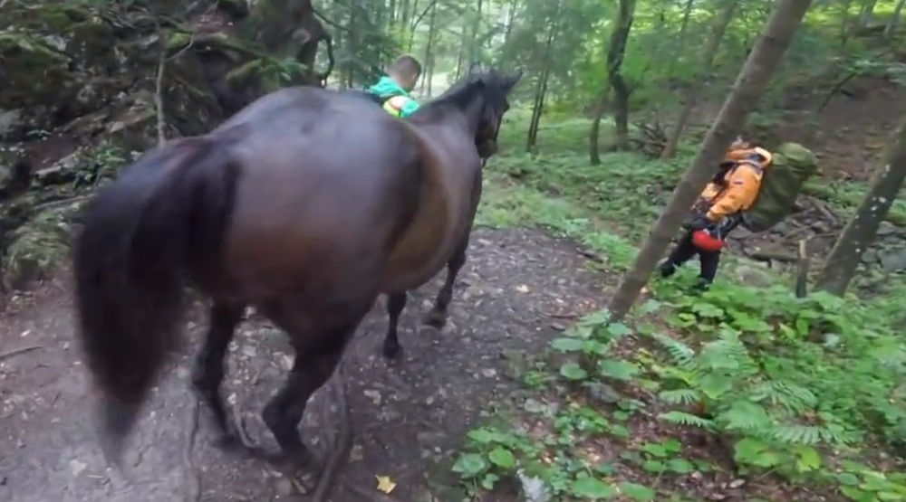 Horskí záchranári takúto akciu ešte nezažili. V Malej Fatre zachraňovali jazdecké kone