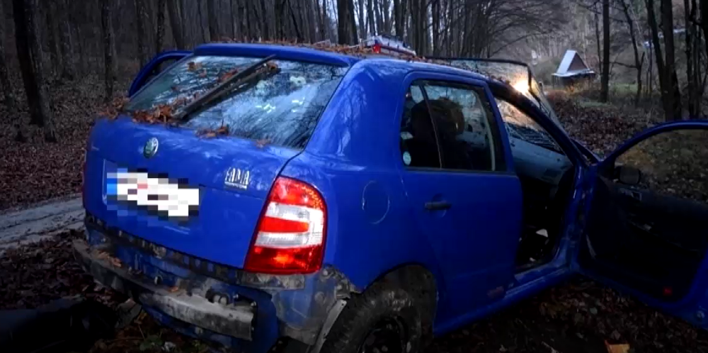 Vodič prešiel do protismeru a narazil do stromu