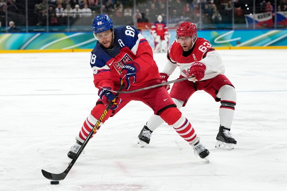 Zápas Česko - Dánsko